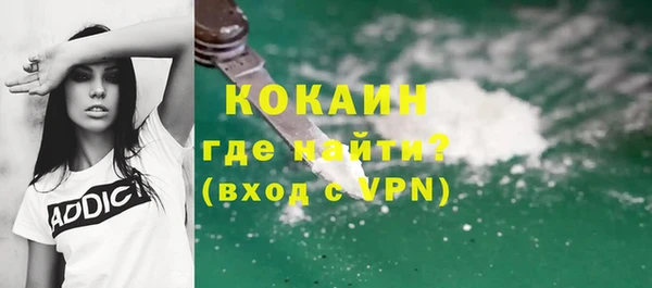 дживик Лагань