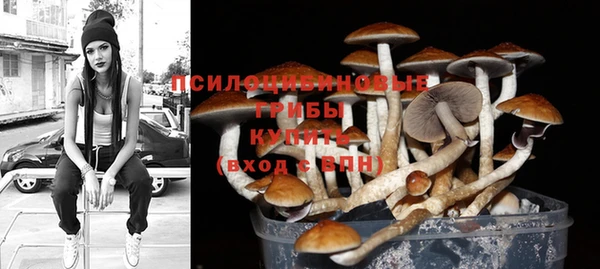 дживик Лагань