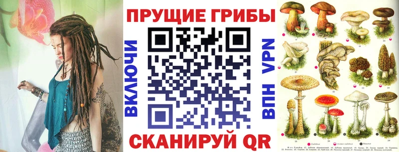 Псилоцибиновые грибы мицелий  Купить где  Новая Усмань 